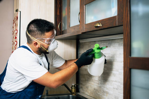 Best Pest Prevention Services  in Avon Lake, OH